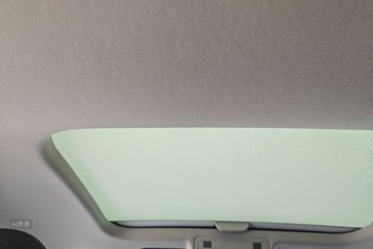 Volkswagen Polo 2020 car image #20