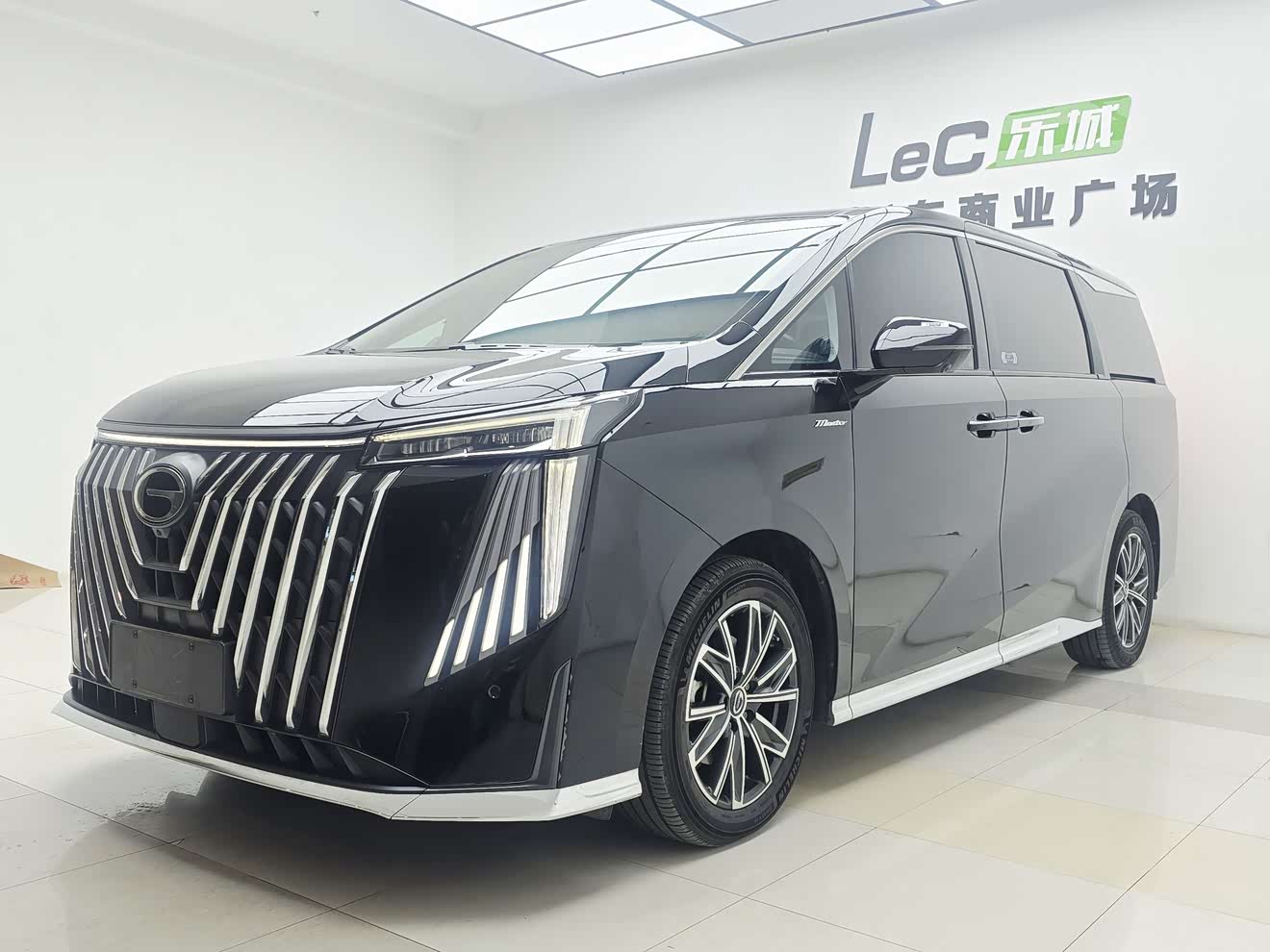 GAC Trumpchi M8 2023 汽车图片 
