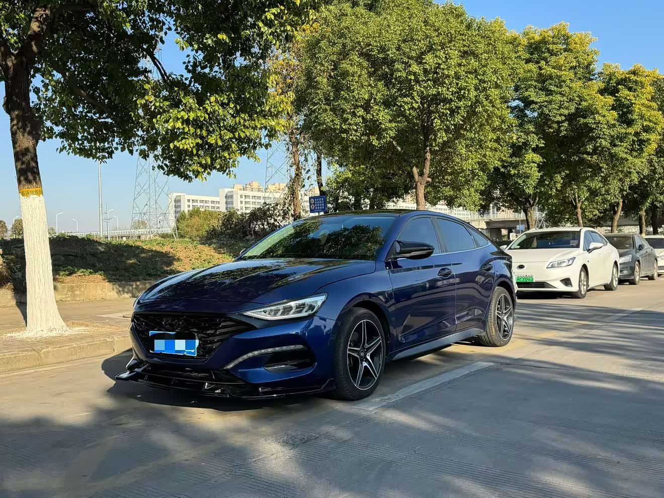 Hyundai Lafesta 2019 car image 