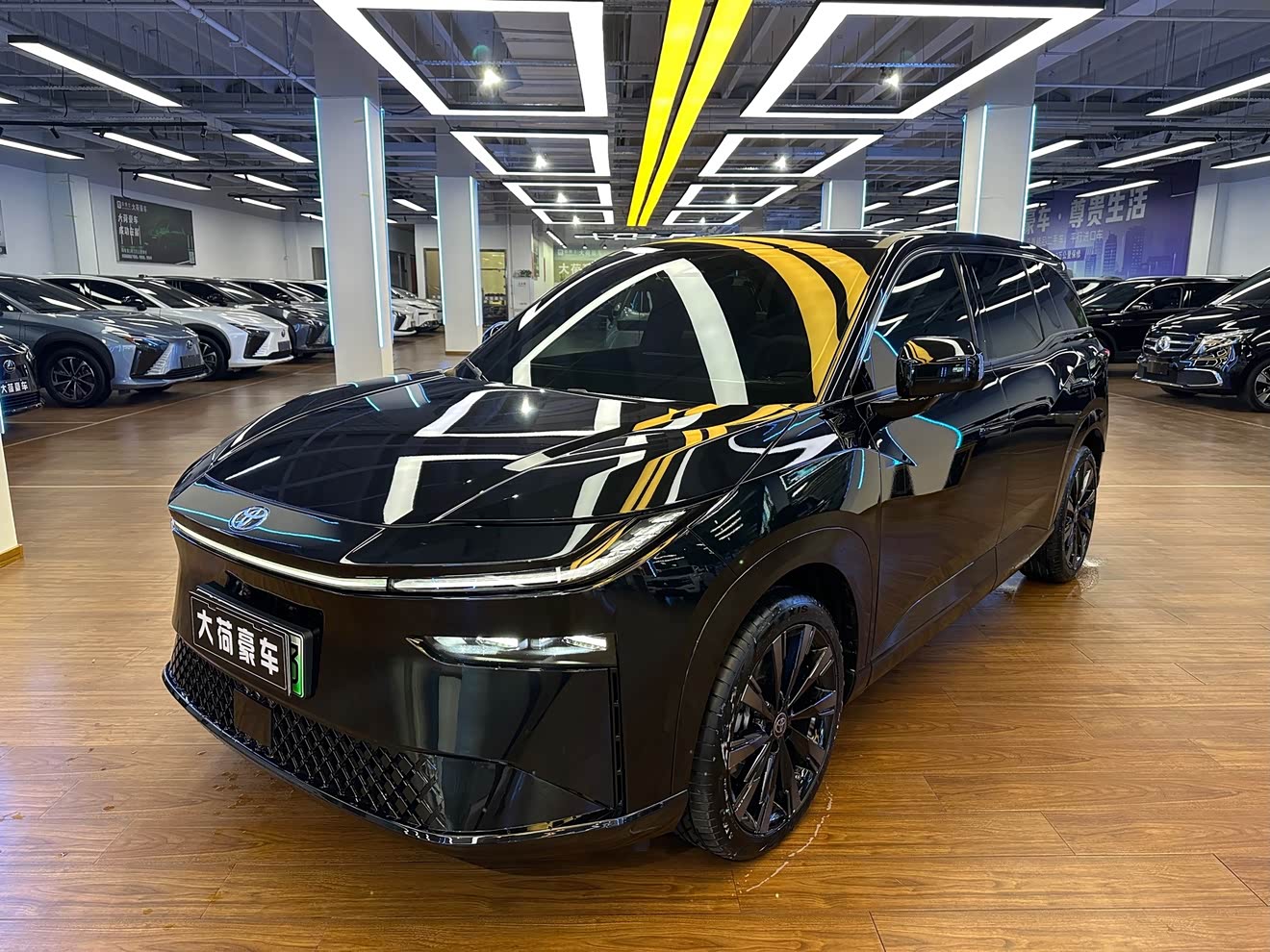 Toyota Bozhi 3X 2025 汽车图片 