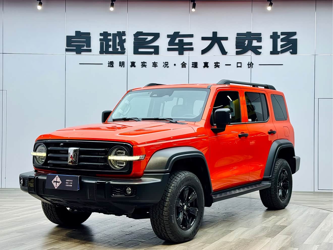 坦克 坦克300 2023 汽车图片 