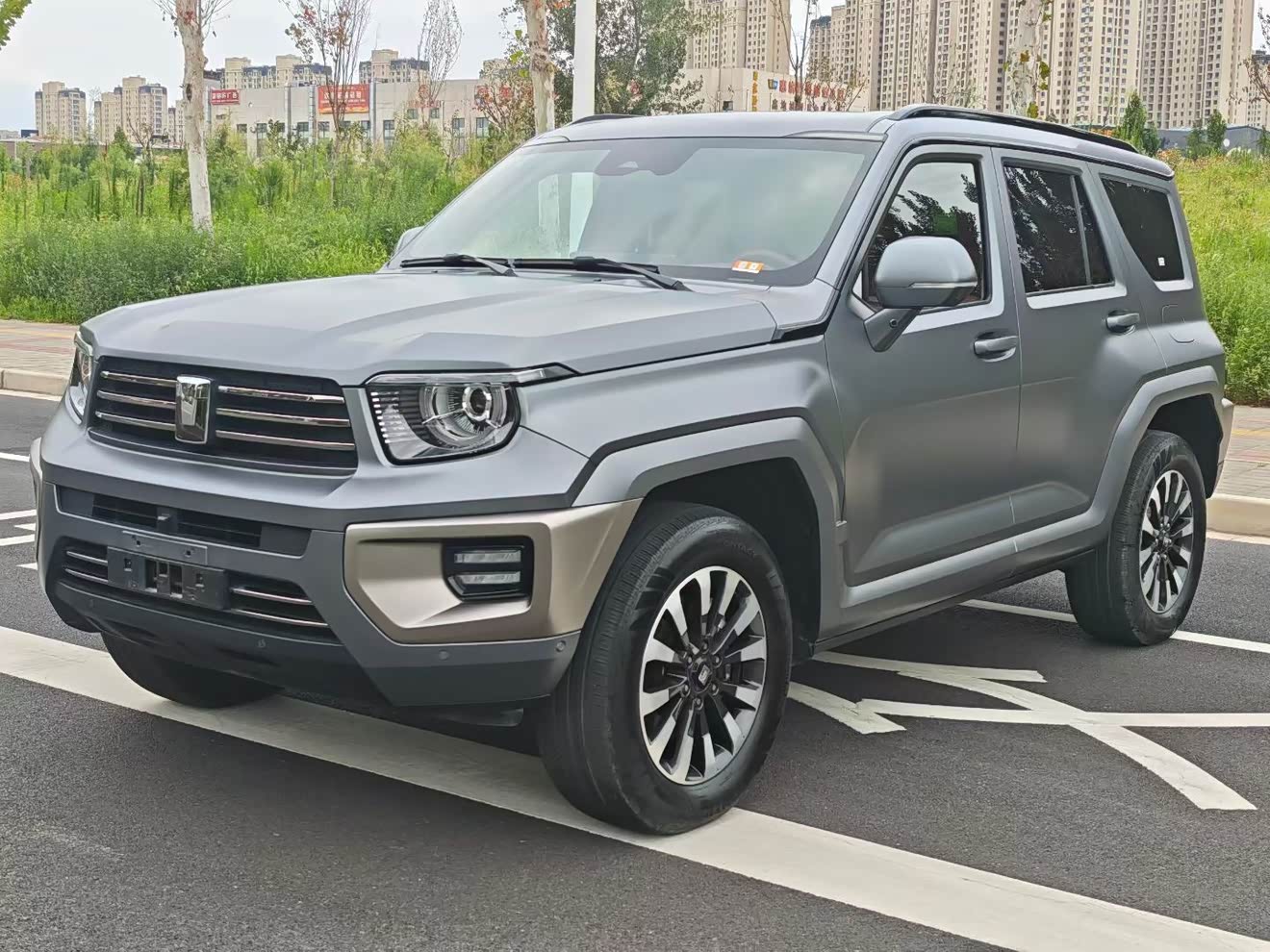 Tank 700 New Energy 2025 Tank 700 New Energy 2025 immagine di auto