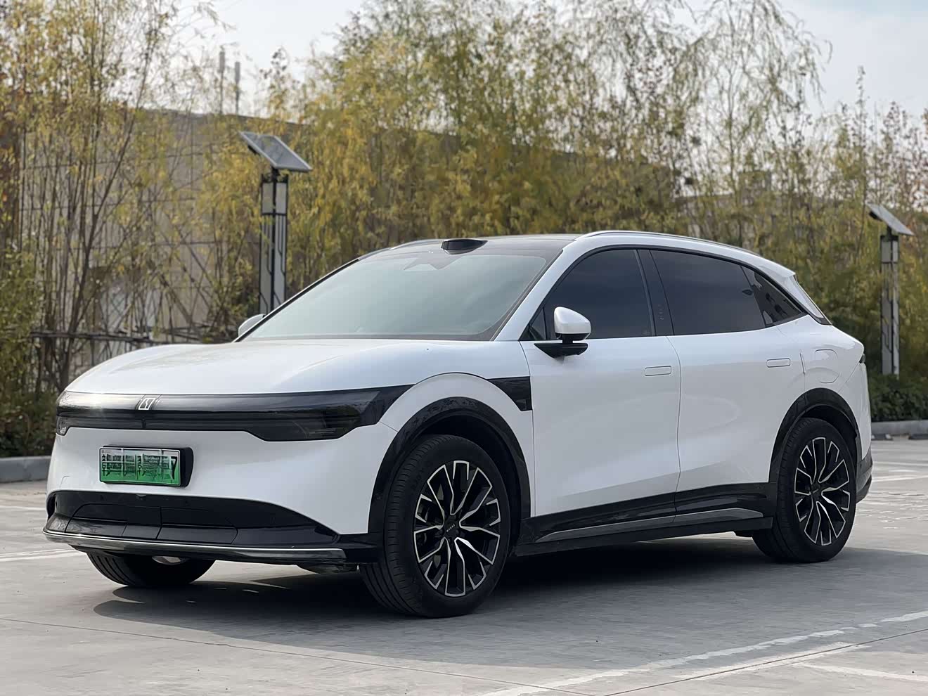 Zeekr 7X 2024 car image 