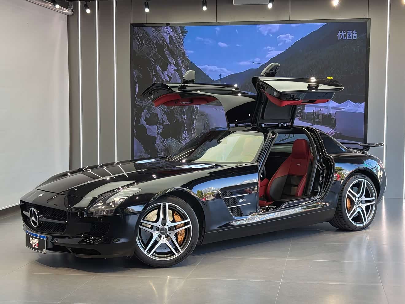 Mercedes-Benz SLS AMG 2010 Mercedes-Benz SLS AMG 2010 صورة سيارة