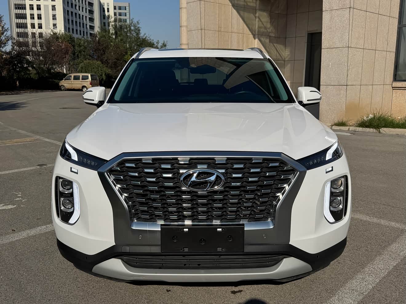 Hyundai Palisade 2020 car image 