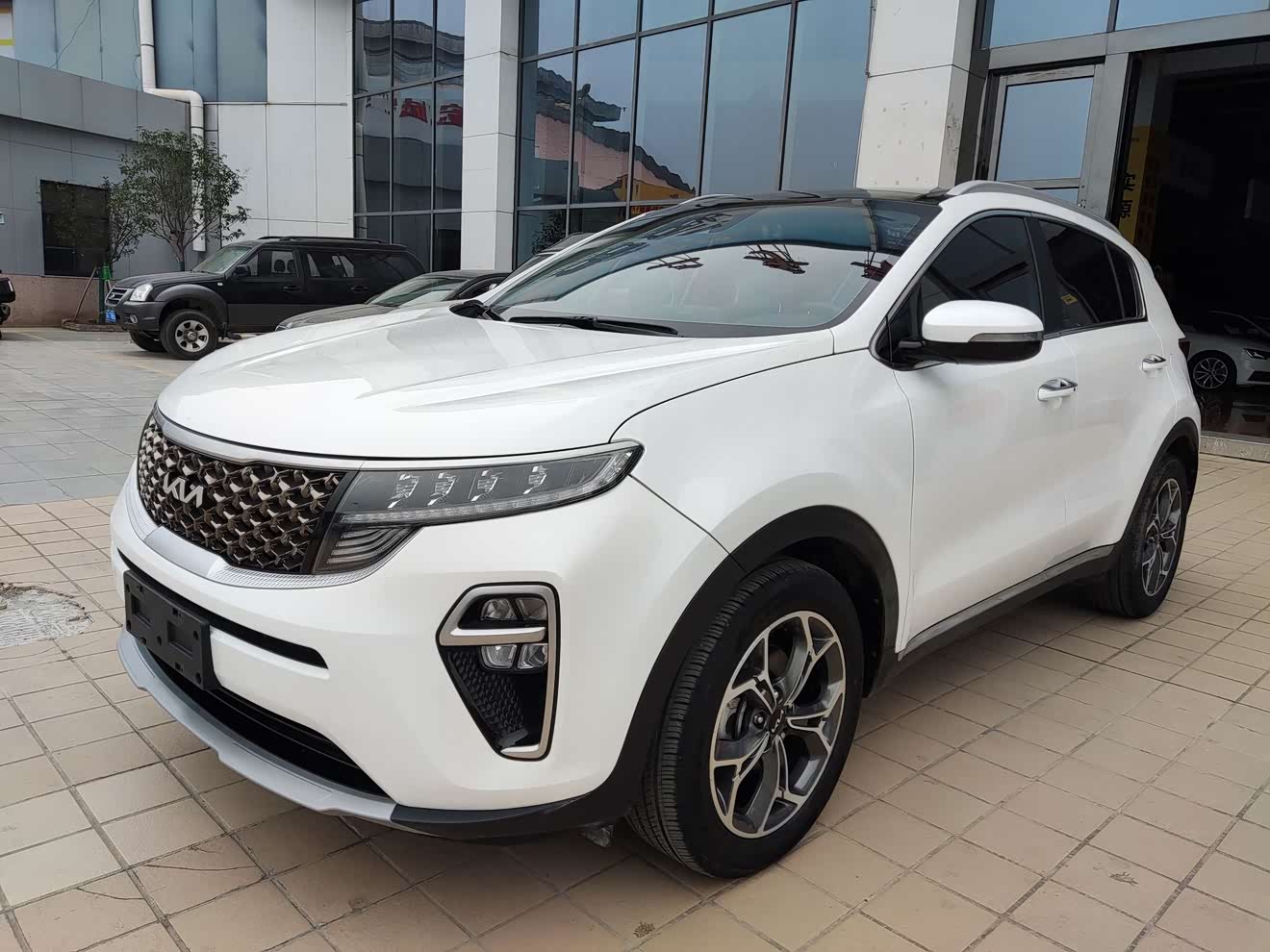 Kia KX5 2023 Kia KX5 2023 car image