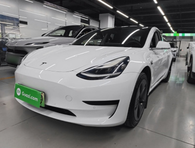 Tesla Model 3 2020 Tesla Model 3 2020 car image