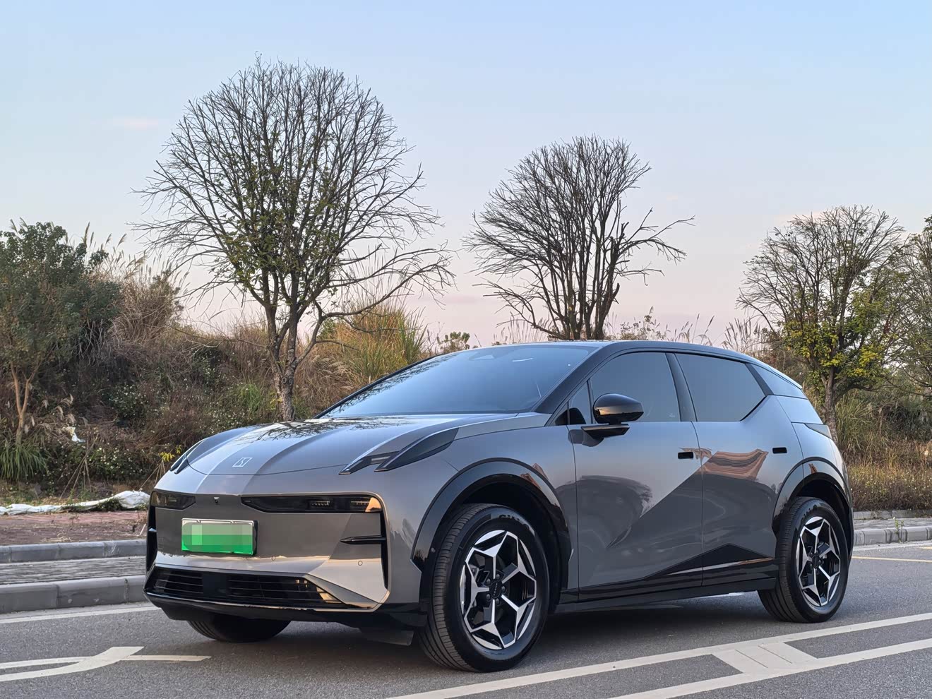 Zeekr X 2025 汽车图片 