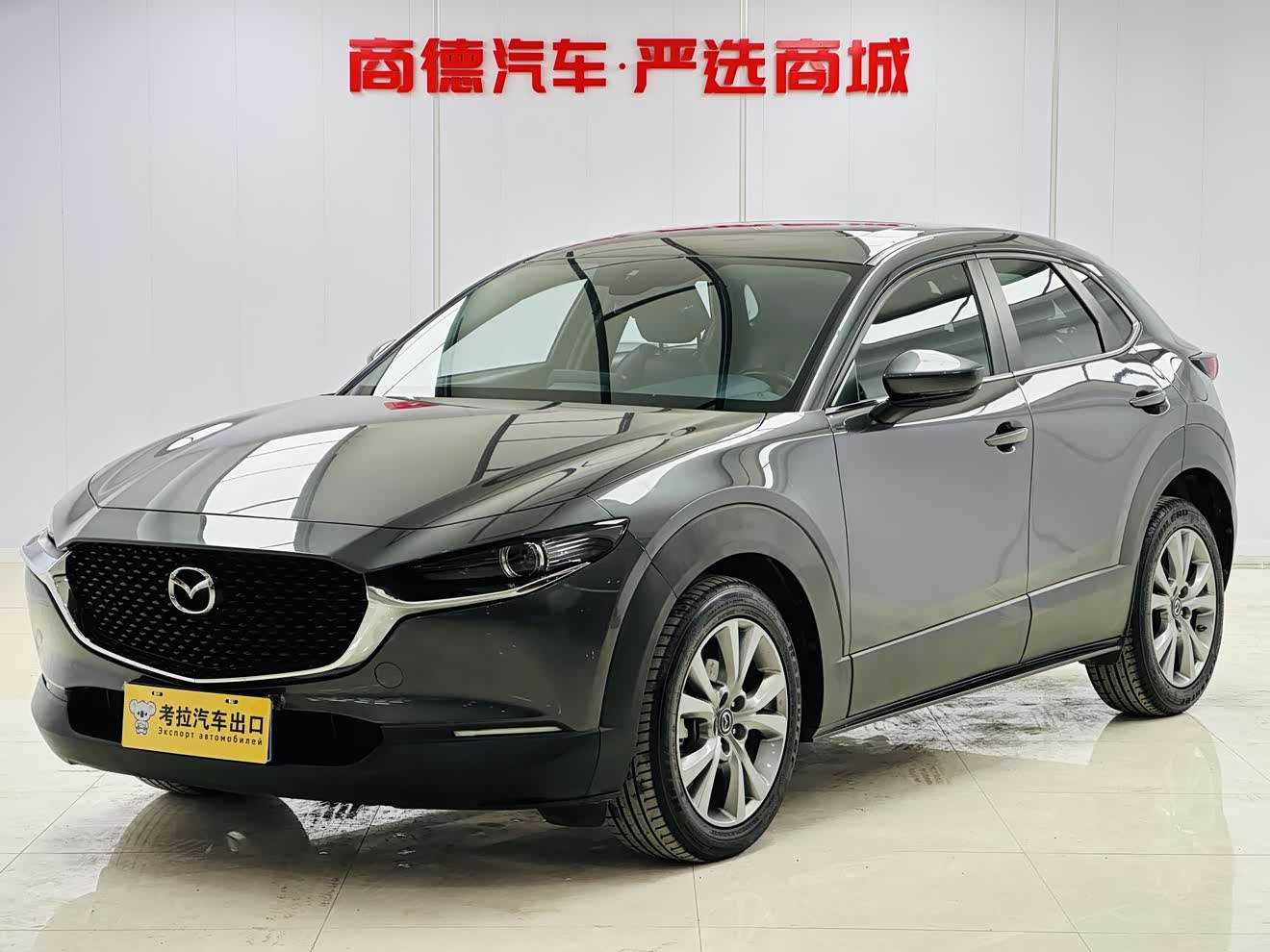 Mazda CX-30 2022 Mazda CX-30 2022 car image