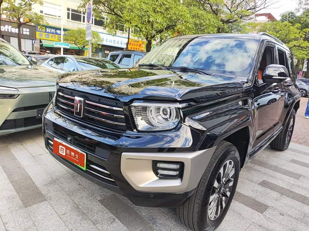 Tank 700 New Energy 2024 Tank 700 New Energy 2024 immagine di auto