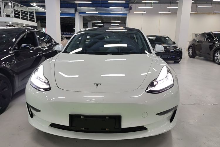 Tesla Model 3 2020 immagine di auto #3