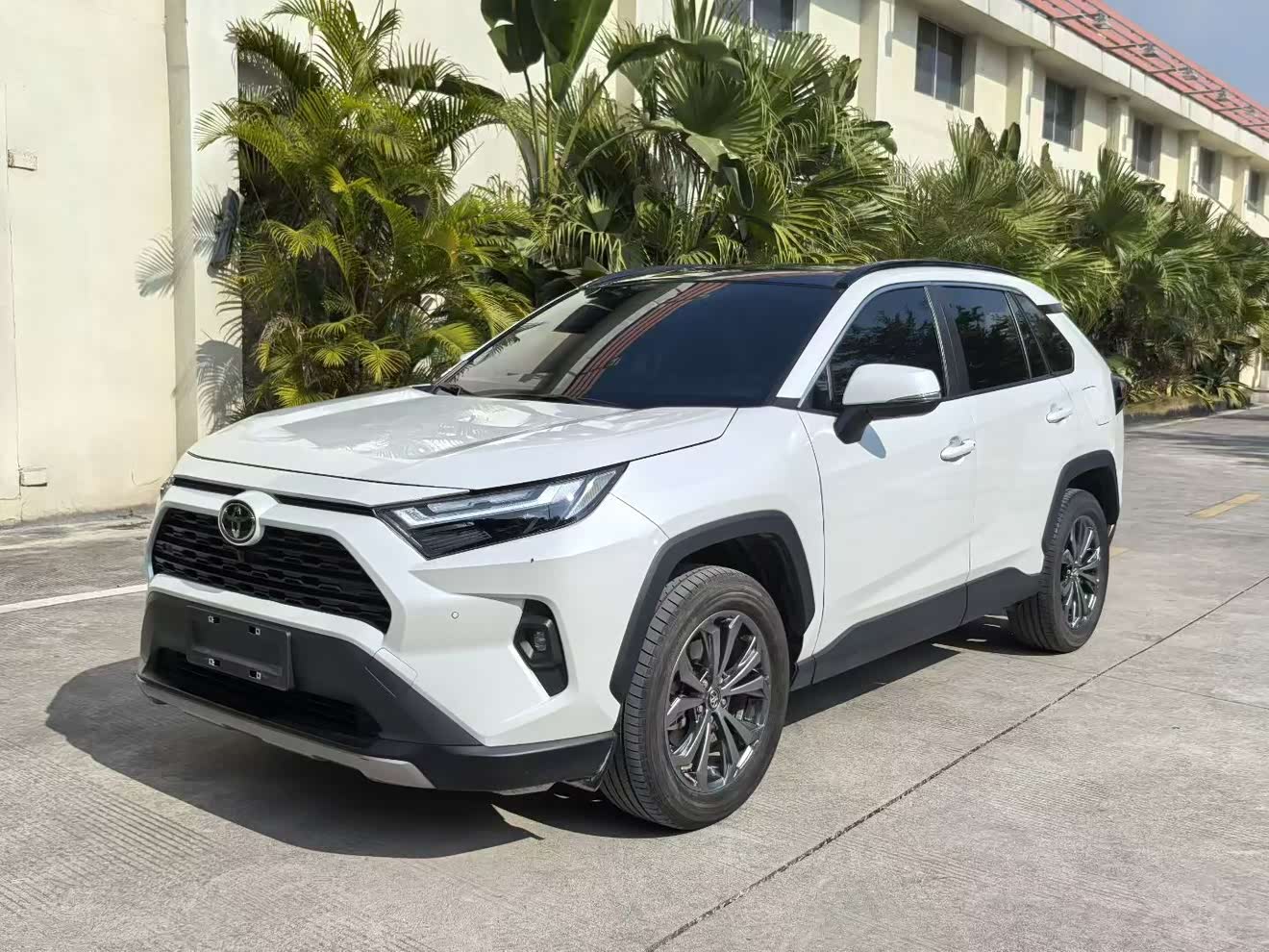Toyota RAV4 2024 Toyota RAV4 2024 car image