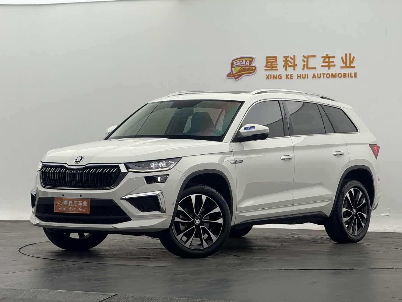 Skoda Kodiaq 2022 car image 