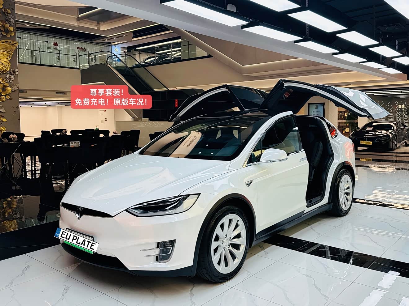 Tesla Model X 2017 汽车图片 