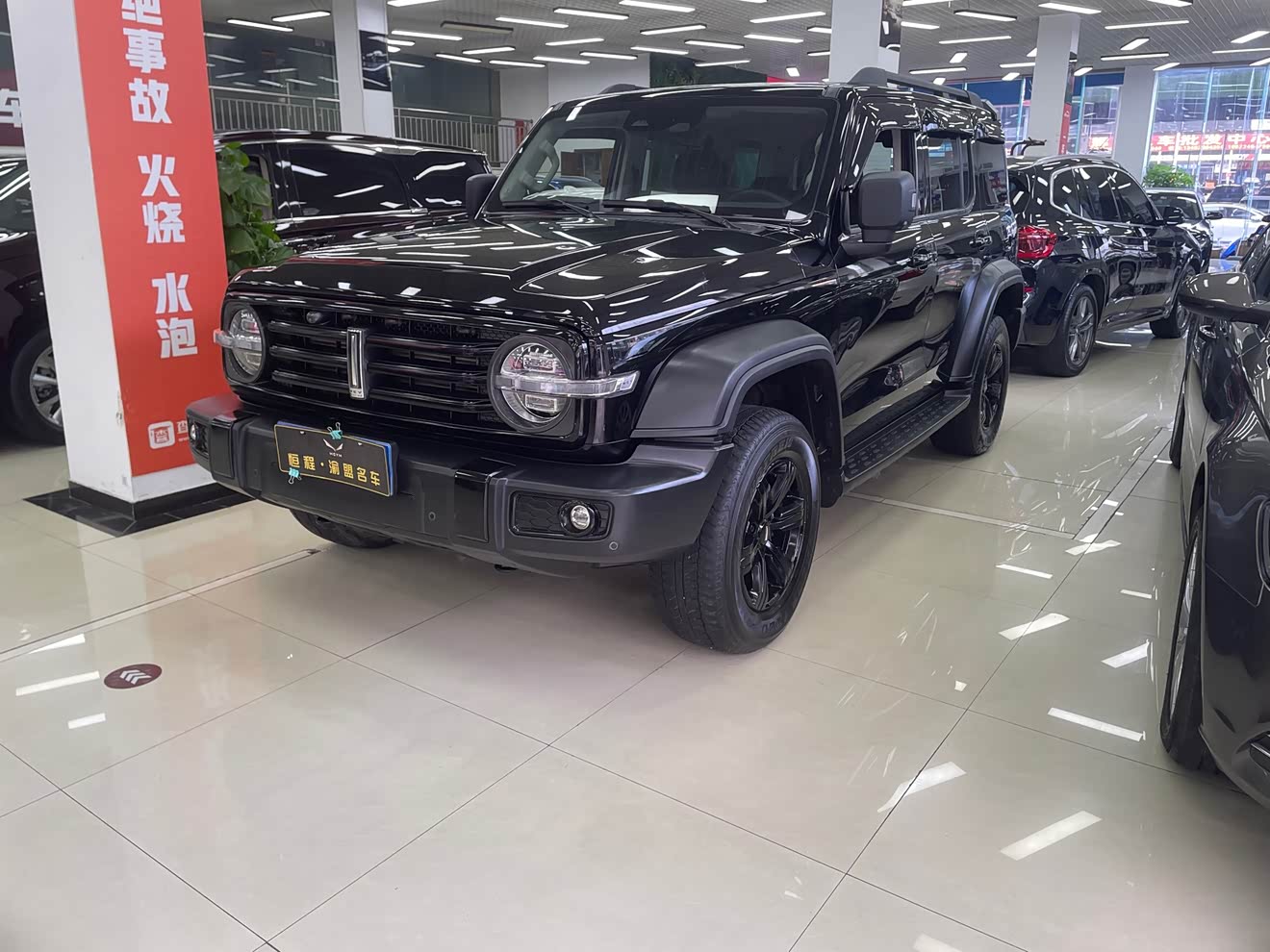 坦克 坦克300 2021 汽车图片 