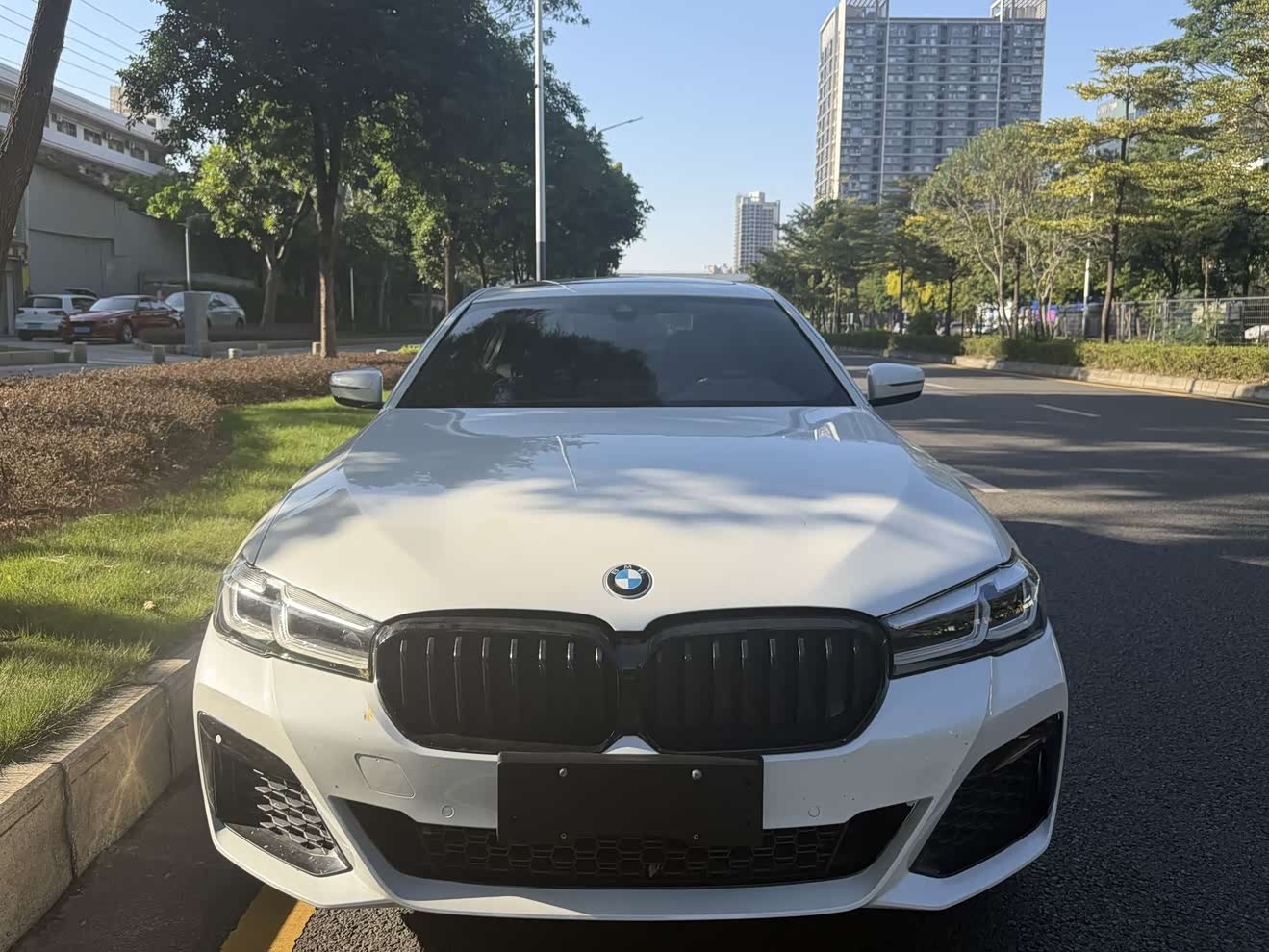 BMW 5 Series 2021 BMW 5 Series 2021 car image