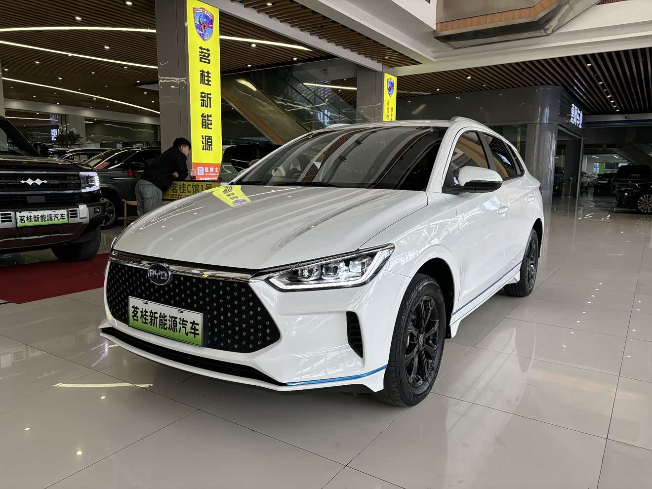 BYD e2 2020 BYD e2 2020 immagine di auto