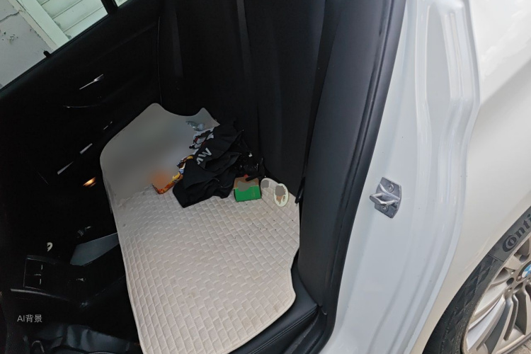 BMW 3 Series 2019 car image #19