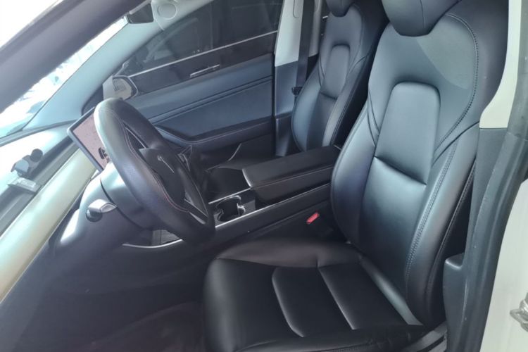 Tesla Model 3 2020 immagine di auto #15