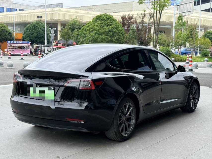 Tesla Model 3 2023 #6 Tesla Model 3 2023 car image #6