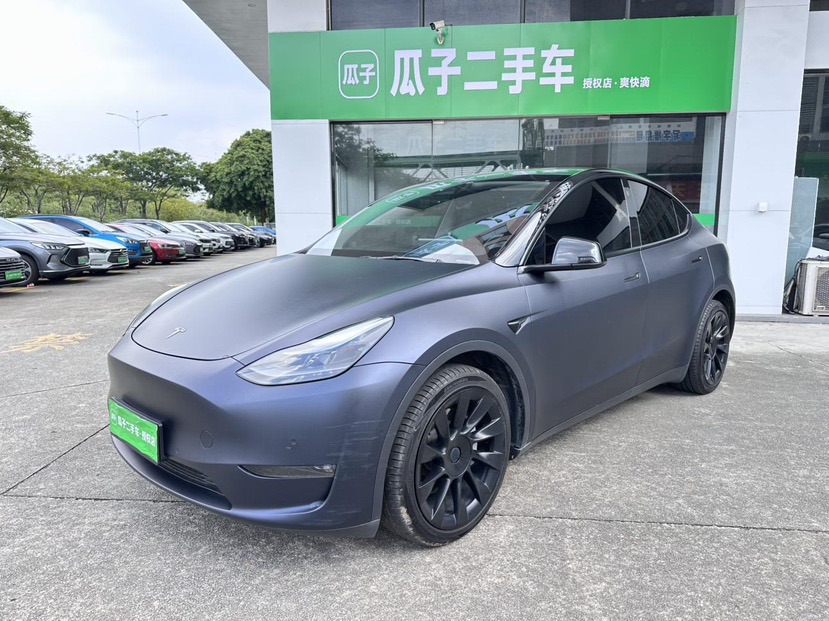 Tesla Model Y 2021 Tesla Model Y 2021 car image