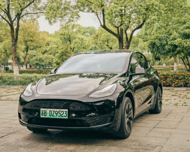 Tesla Model Y 2023 car image #10