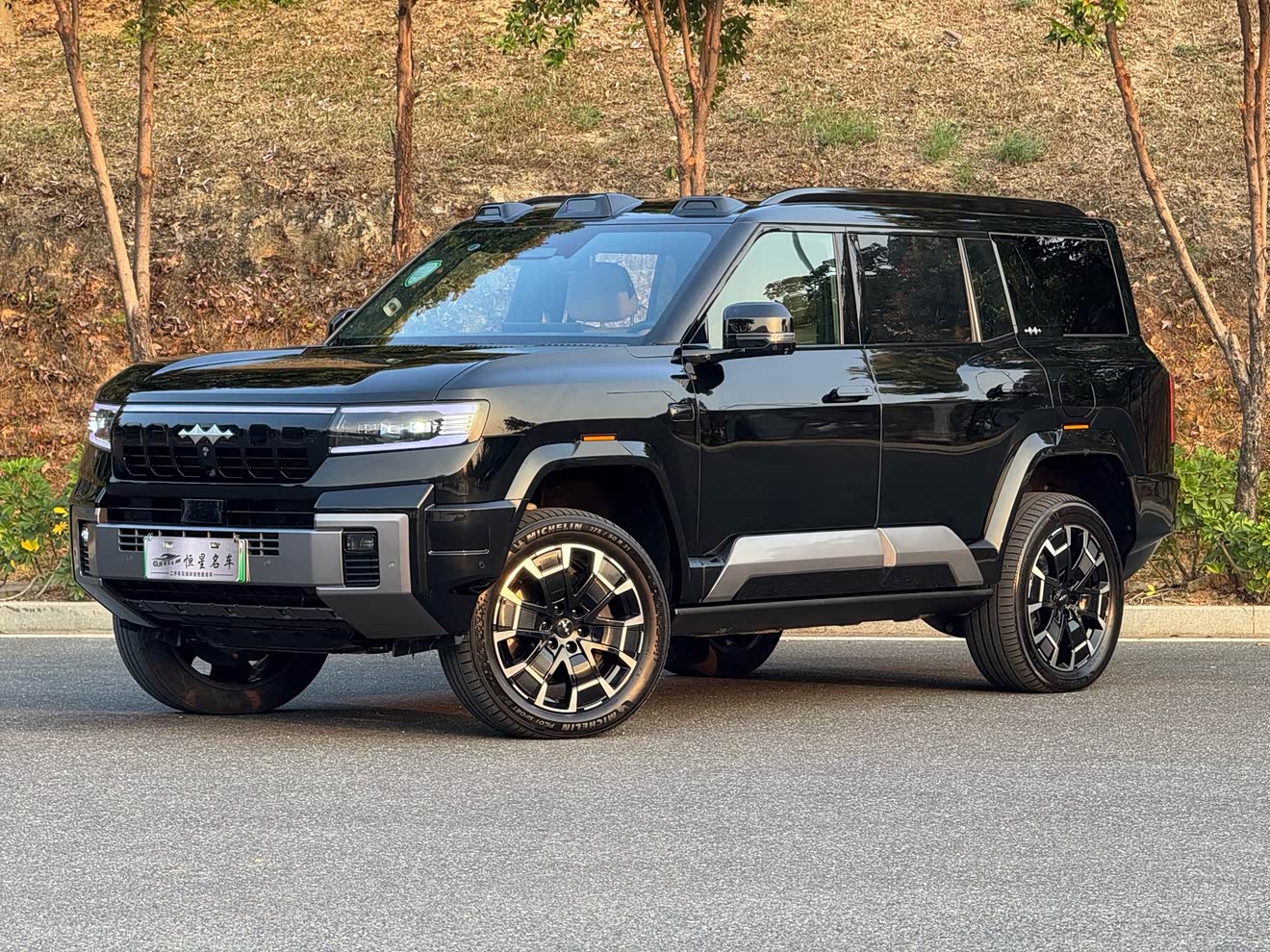 FangChengBao Leopard 8 2024 FangChengBao Leopard 8 2024 car image