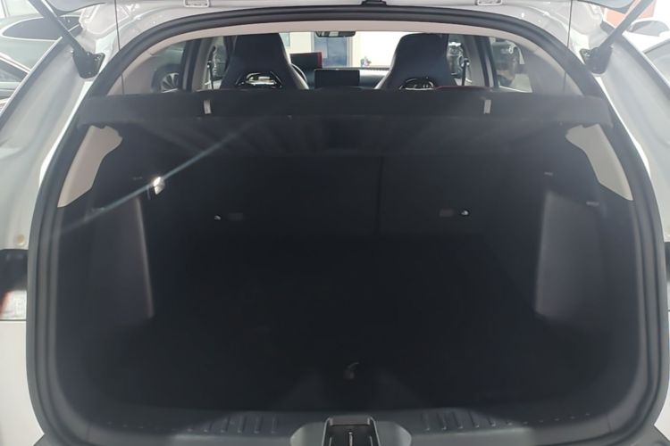 BYD Yuan Plus 2023 car image #19