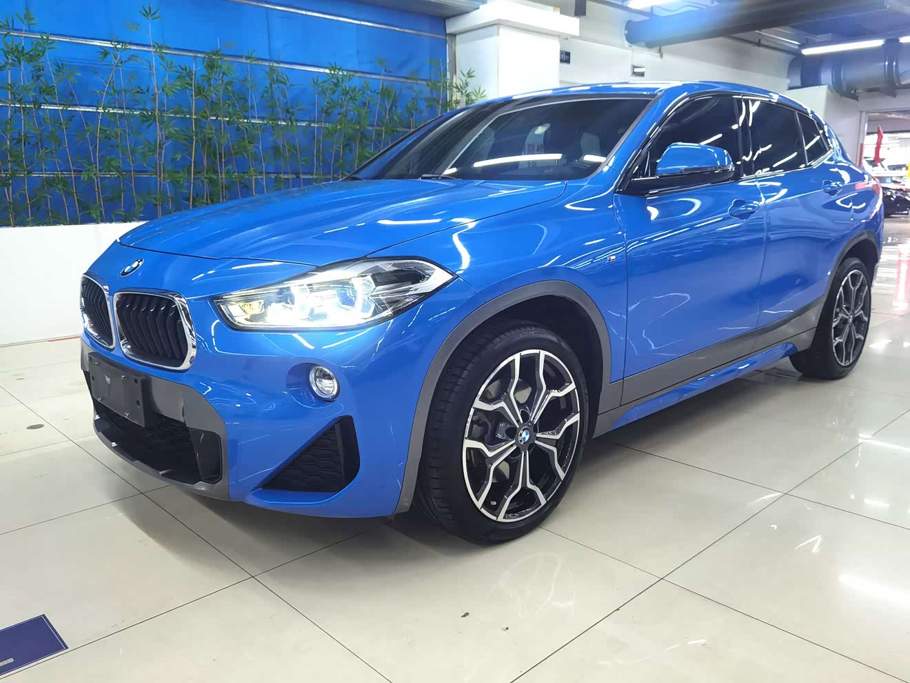 BMW X2 (Imported) 2018 car image 