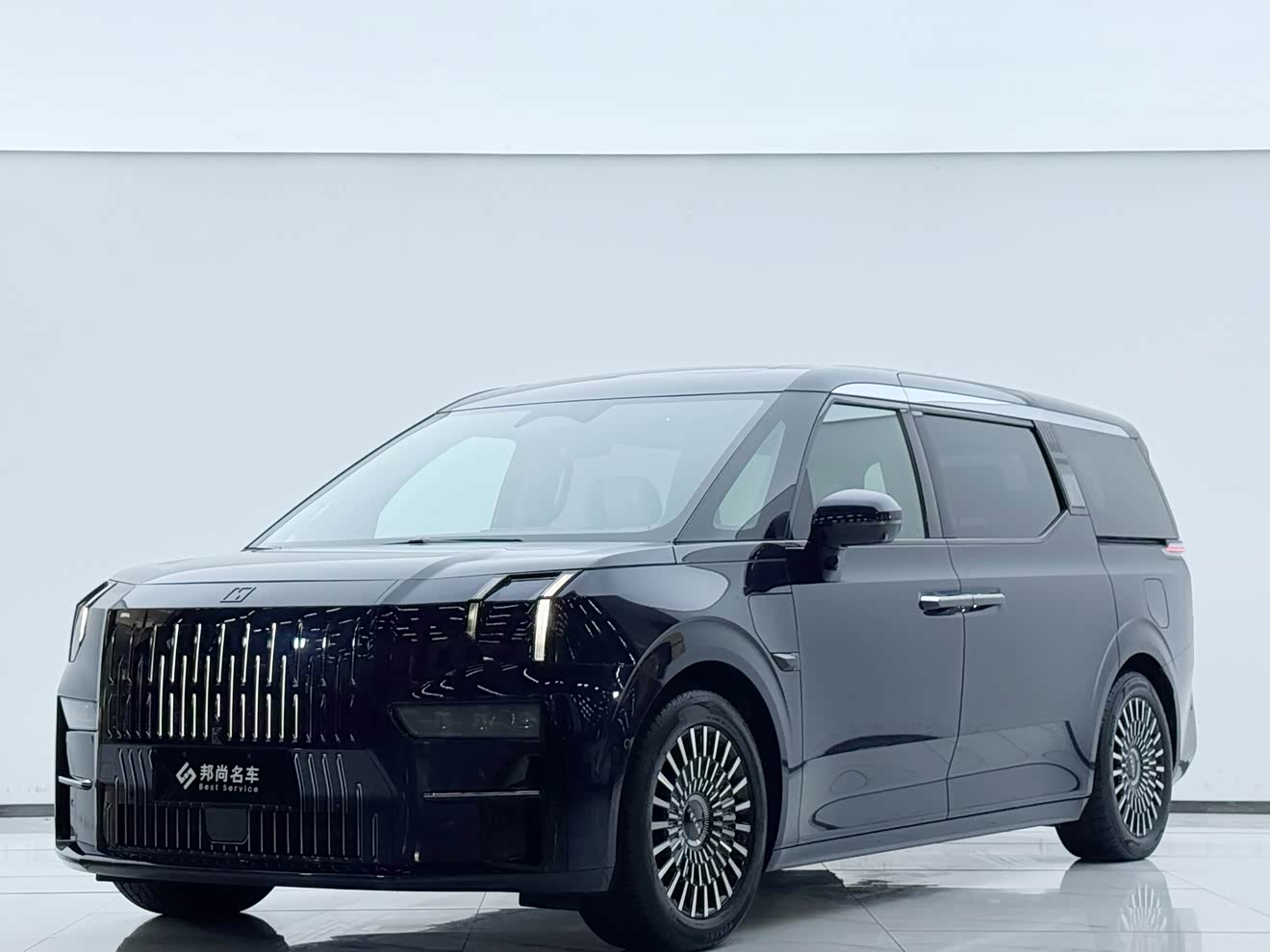 Zeekr 009 2023 汽车图片 