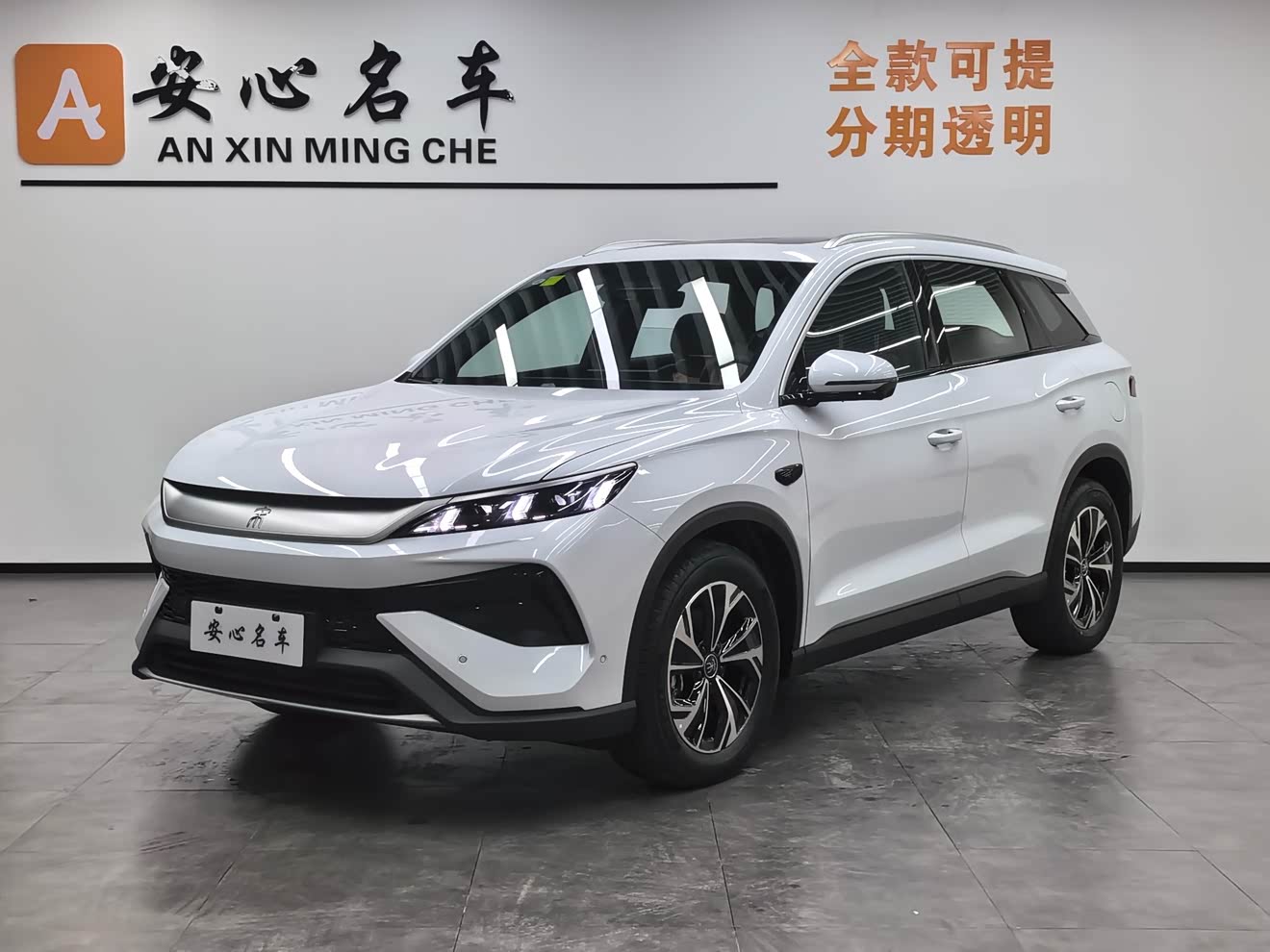 BYD Song Pro New Energy 2025 car image 
