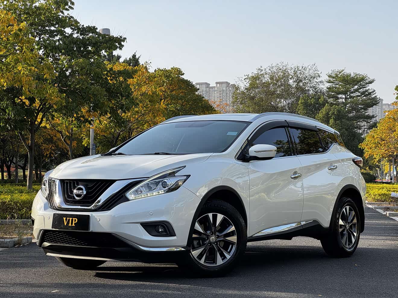 Nissan Murano 2017 汽车图片 