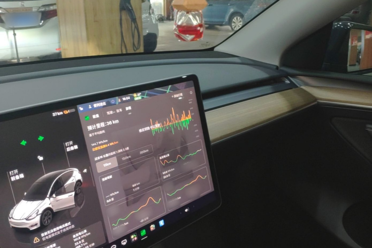 Tesla Model Y 2022 #10 Tesla Model Y 2022 car image #10