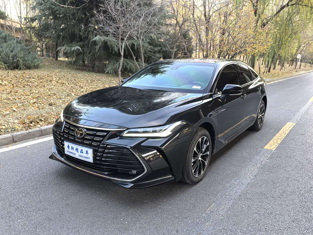 Toyota Avalon 2022 car image 