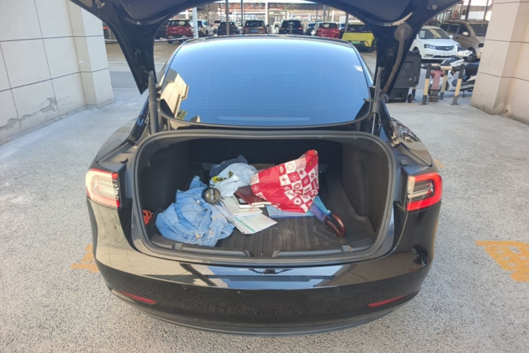 Tesla Model 3 2022 car image #19