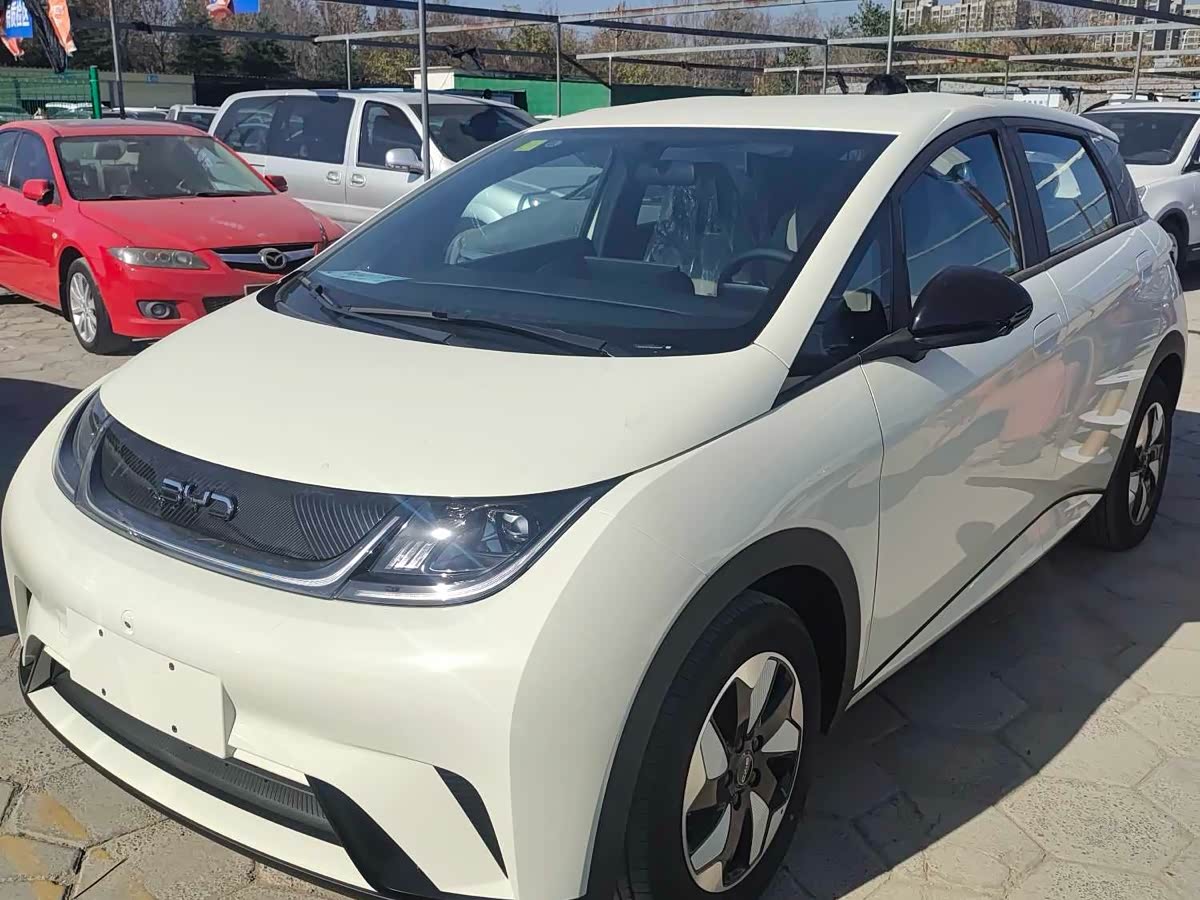 比亚迪 海豚 2025 汽车图片 