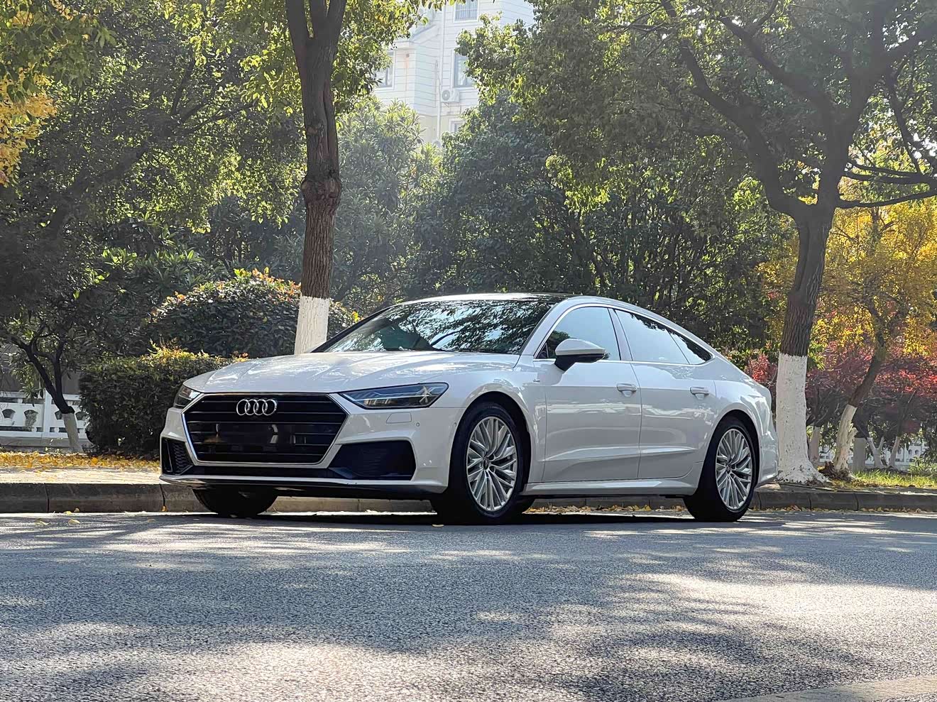 Audi A7 2021 car image 