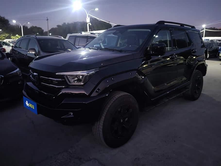 Tank 400 2024 Tank 400 2024 car image