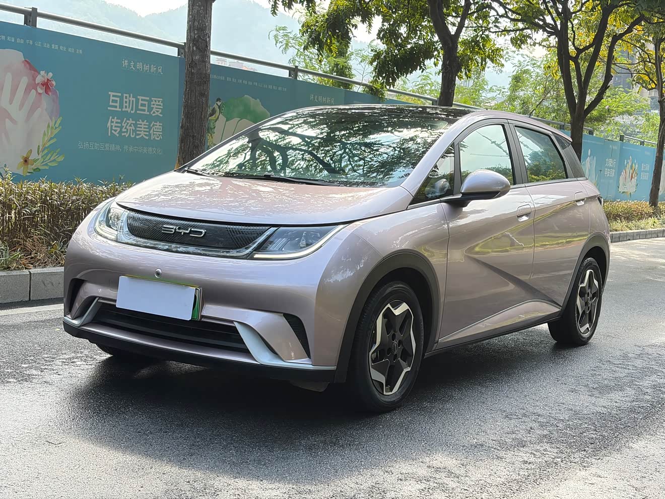 比亚迪 海豚 2022 汽车图片 