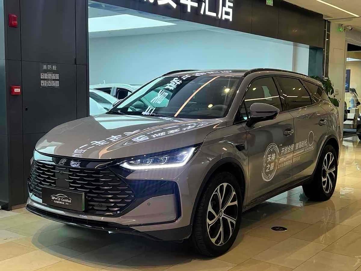 BYD Tang New Energy 2025 car image 