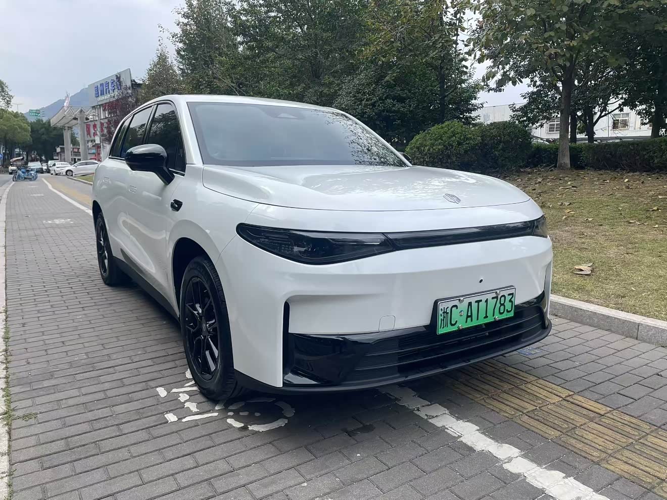 Leapmotor C10 2024 汽车图片 