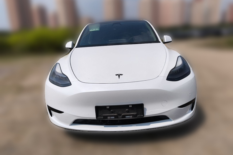Tesla Model Y 2022 immagine di auto #3