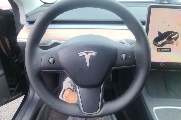 Tesla Model 3 2022 #11 Tesla Model 3 2022 car image #11