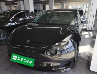 Tesla Model 3 2021 Tesla Model 3 2021 car image