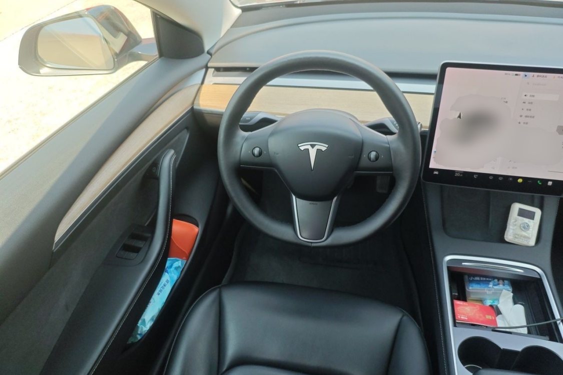 Tesla Model 3 2021 #22 Tesla Model 3 2021 car image #22