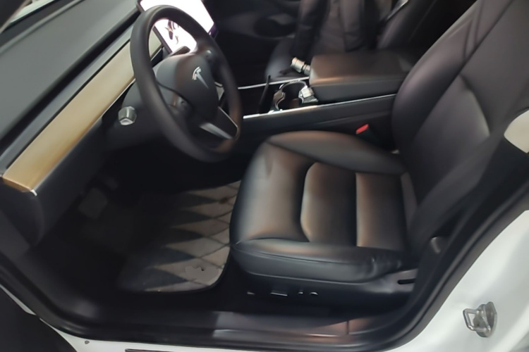 Tesla Model 3 2020 immagine di auto #15