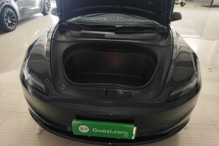 Tesla Model 3 2024 car image #20