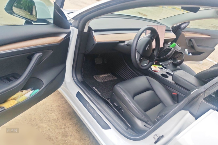 Tesla Model 3 2021 car image #18