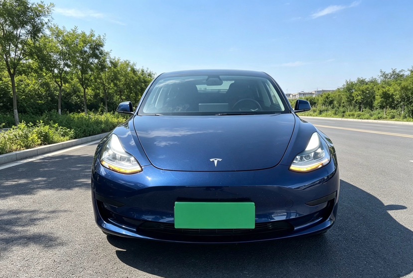 Tesla Model 3 2023 car image #3