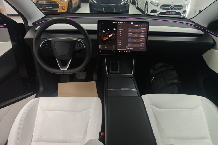 Tesla Model Y 2025 car image #10